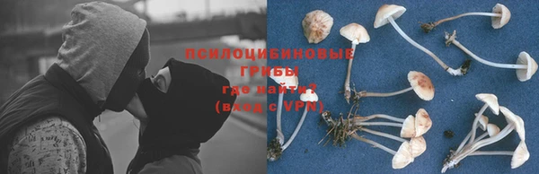 Альфа ПВП Абинск