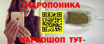 PSILOCYBIN Краснодар