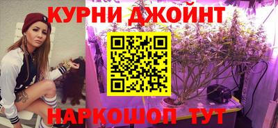 PSILOCYBIN Краснодар