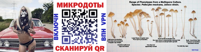 наркотики  Энгельс  Псилоцибиновые грибы MAGIC MUSHROOMS 