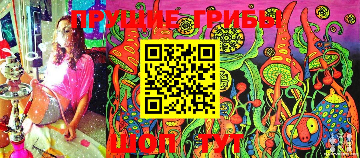 Галлюциногенные грибы Cubensis  Вход с VPN  Галлюциногенные грибы GOLDEN TEACHER  купить закладку  Энгельс 